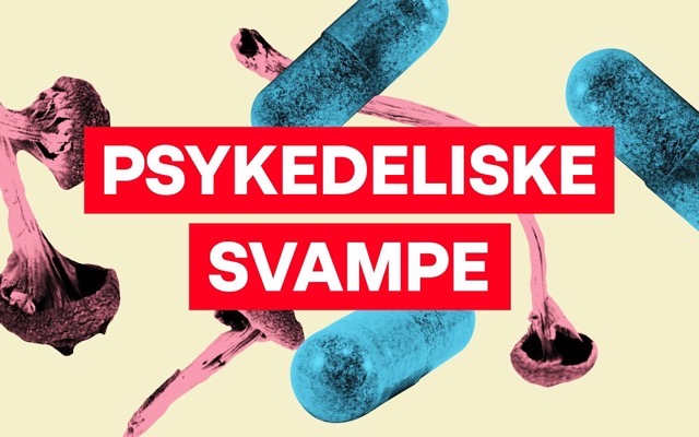 Grafik med psykedeliske svampe og kapsler