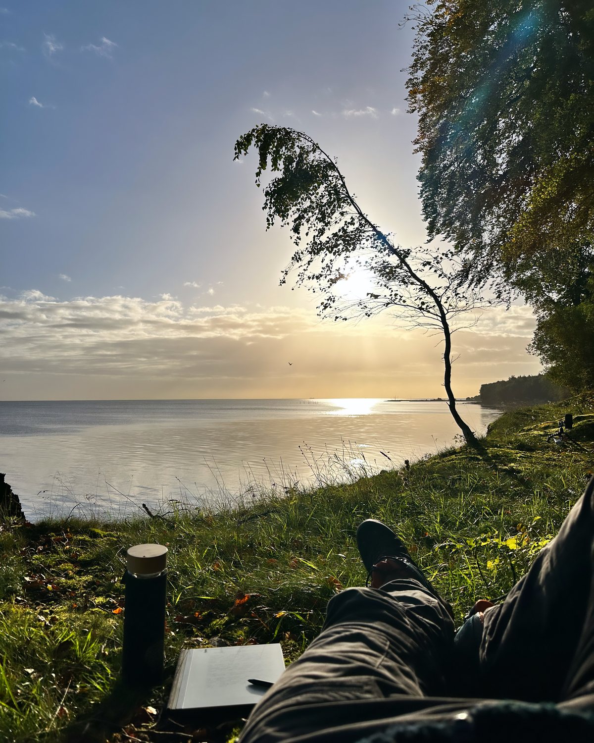 Set fra jorden ved kysten — udstrakte ben i græsset, en termokande og en opslået notesbog, med solen lavt over havet og et bøjet birketræ
