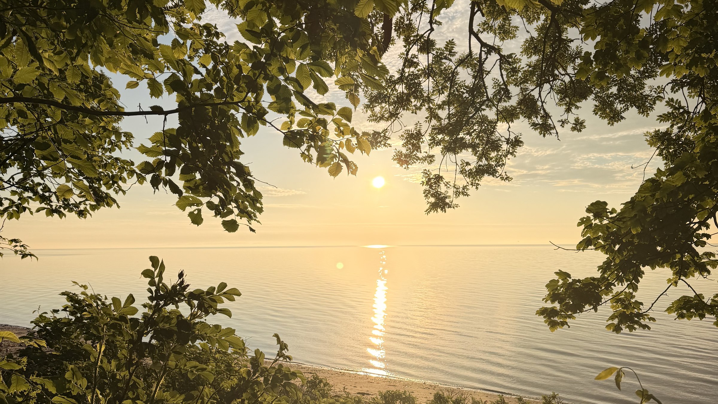 Morgensol over vandet, set fra hængekøjen mellem træerne