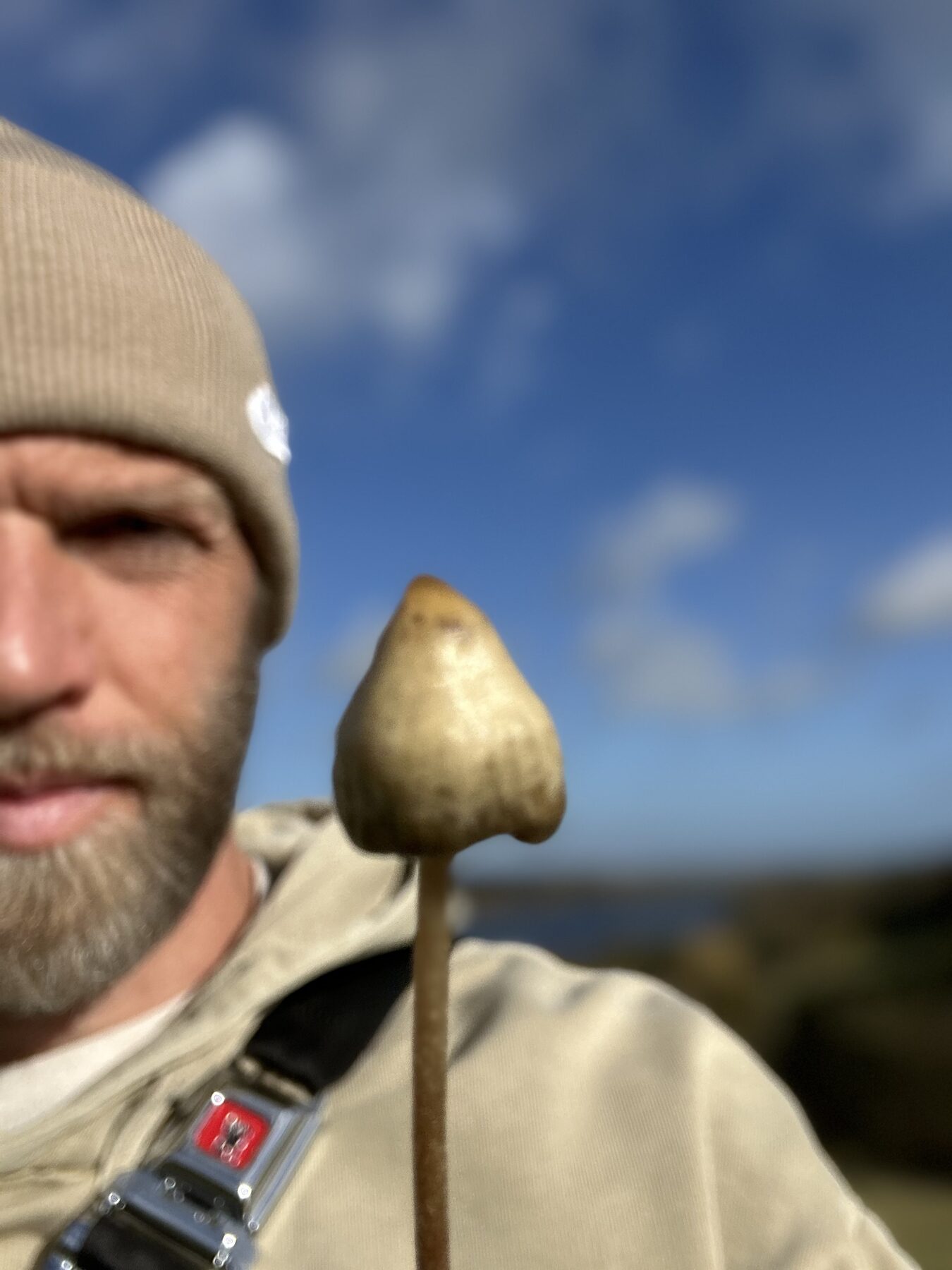 Mig med spids nøgenhat i hånden på en efterårsmark