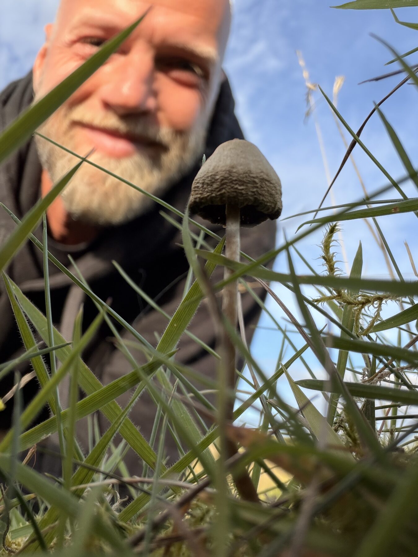 Spids nøgenhat set nedefra i det høje græs, med mig i baggrunden