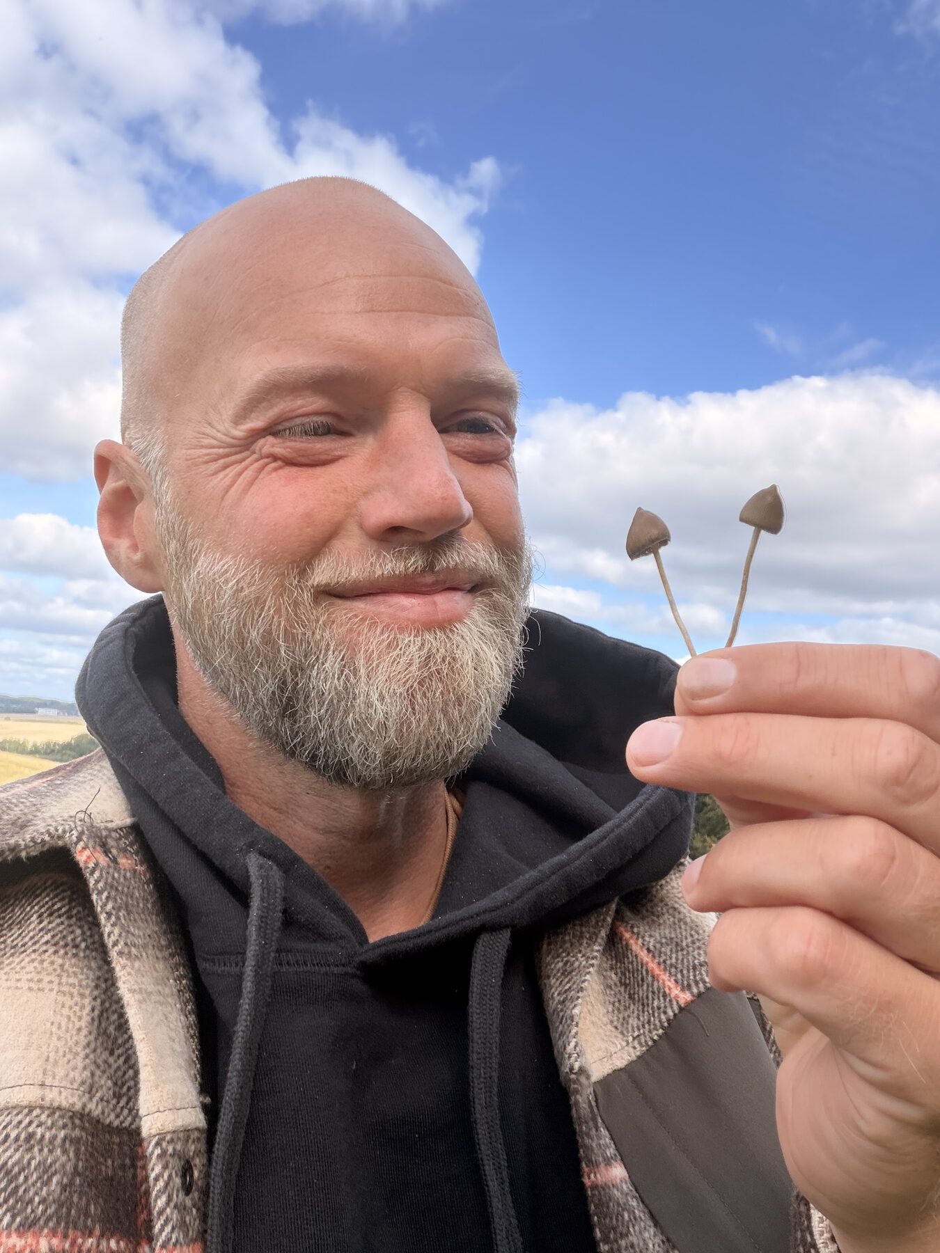To spids nøgenhatte holdt mellem fingrene mod en blå himmel